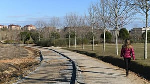 Comienzan las obras del corredor verde entre el estadio del Valladolid y Los Santos-Pilarica